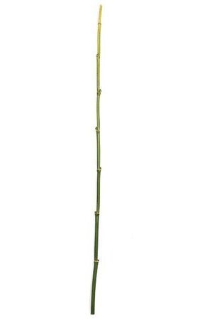 48 inches Plastic Bamboo Stick - Green - 1/4 inches Thick