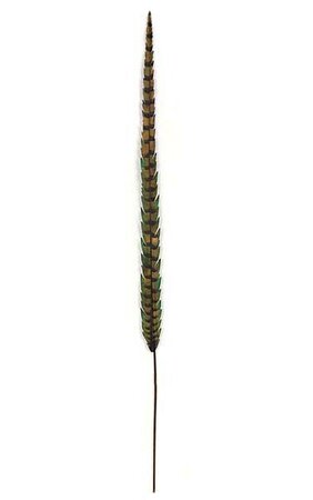 41 inches Feather Stem - Green