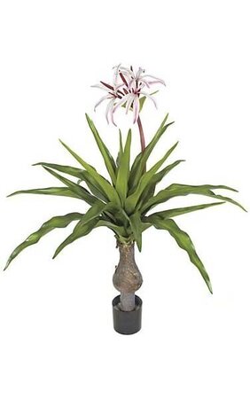 55" Fire- safe Crinum Plant - 22 Green Leaves - 3 White/Fuchsia Flowers - 6 Red Buds - 48" Width