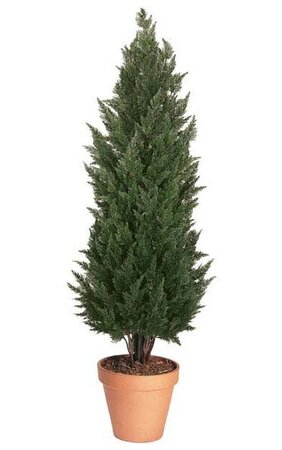 6 feet Outdoor Polyblend Cypress - Synthetic Trunk - 24 inches Width - Green - Bare Stem