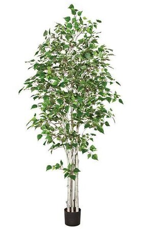 7 feet White Birch Tree - Synthetic Trunks - 1,618 Green Leaves - 36 inches Width - Weighted Base