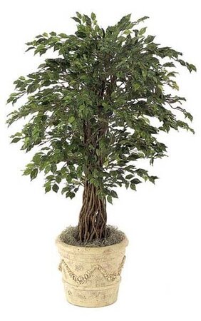 4.5 foot Decor Mini Ficus Tree - Natural Trunks - 2,030 Leaves - Green - Weighted Base