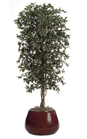 6.5 feet Artificial Ficus Tree - Natural Trunk - 2,700 Leaves - Green - Weighted Base