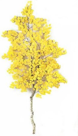 7 feet Cottonwood Branch - Natural Wood - Yellow - FIRE RETARDANT