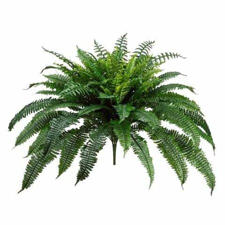 32 inches New Boston Fern Bush x90  Leaves 45 inches Wide 