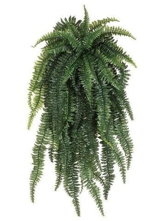 48 inches Long 30 inches Wide Outdoor UV Weeping Boston Fern Hanging Bush Light Green   *****2pc Min Order