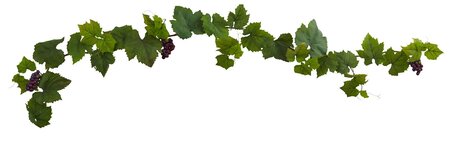Grape Leaf Deluxe Garland w/Grapes 
