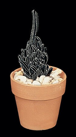 8 inches Finger Cactus