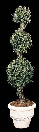 6 feet Faux English Ivy Topiary 3 Ball 6 ’ English Ivy Topiary 3 Ball