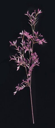 Purple 25.5 inches Length Bamboo Branch Sold Per Dozen
