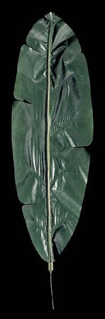 32 inches Long Banana Leaf  Sold by the dozen