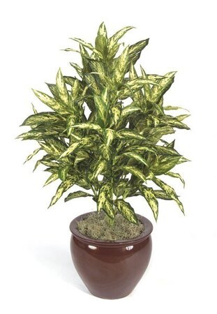 46 inches Faux Life Like Chinese Evergreen House Plants