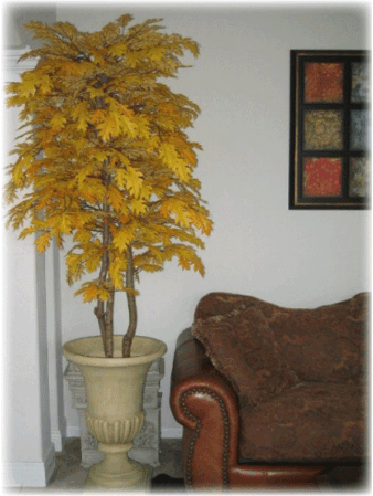 Custom Made Pin Oak Tree Can be made in various heights and colors!