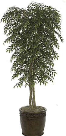 Custom Made To Order Smilax Tree