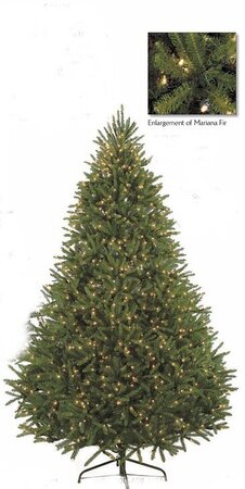 7.5 feet & 9 feet Mariana Fir Christmas Tree with Lights