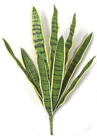 Faux Life Like 27.5  inches Foam Sansevieria Bush Soft Touch