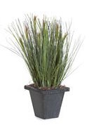 A-80750 16 inches x 6 inches PVC Reed/Onion Grass - 800 Green Stems - 7 Reeds - Square Black Iron Pot