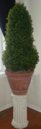 EF-922 4 feet Plastic Boxwood Cone Topiary - Natural Trunk - 4,336 Leaves - 34 inches Cone Height
