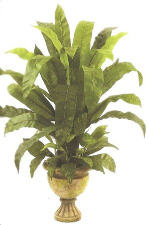EF-6528 44 inches Bird Nest Plant In Urn Shown(Sold In a set of two Pc)