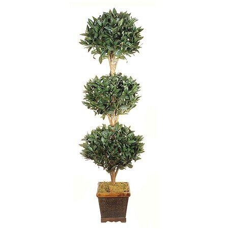 EF-1893  5 feet Sweet Bay Triple Ball Topiary Natural Wood 1925 Lvs