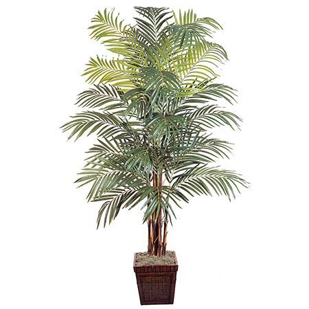 EF-4986 8 feet Giant Areca Palm Natural Trunks 792 Lvs