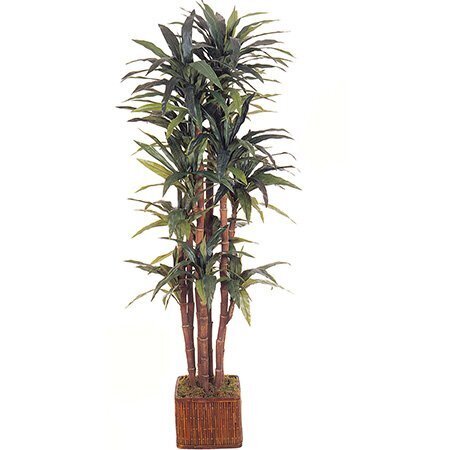 EF-1848 6.5 feet Custom Made Yucca Dracaena Plant w/214 Lvs 8 Heads 