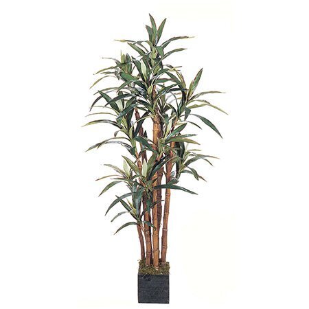 EF-5568 5 feet Yucca Dracaena Plant w/172 Lvs In Wooden Pot