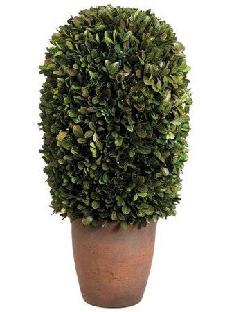 EF-432 9"Dx18"H Preserved Boxwood Ball Topiary in Pot Green