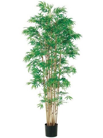 EF-052 	6 feet Japanese Bamboo Tree x15 w/3360 Lvs. in Pot Two Tone Green (Sold in a 2 pc set)