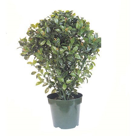 EF-3302   30 inches  Bay Leaf Topiary W/1530 LVS Indoor/Outdoor