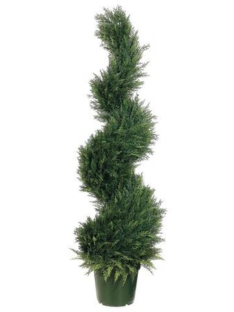 EF-414  4 feet Spiral Cypress Topiary in Plastic Pot Green(Sold in A 2 PC Set)