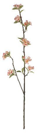 EF-186 16-1 inches to 2 inches Blooms, 9-1 inches Buds, 32-2 inches Leaves. Color: Light Peach (Sold In A 8pc set)