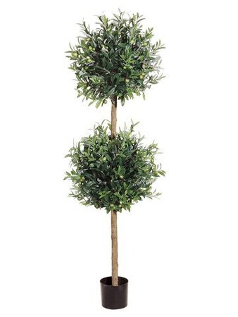 EF-63A 5.5 feet Natural Trunk Double Ball Olive Topiary w/Olive in Pot Two Tone Green (Price is for a 2 pc set)