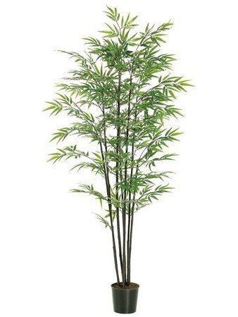 EF-0668 	6 feet Black Bamboo Tree x7 w/1440 Lvs. in Black Plastic Pot Green(Price is for a 2 pc Set)