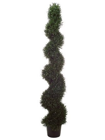 EF-486  6 feet Rosemary Spiral Topiary in Plastic Pot Green Indoor/Outdoor