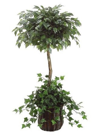 EF-4090  5 feet Ficus Topiary w/Ivy in Willow Basket