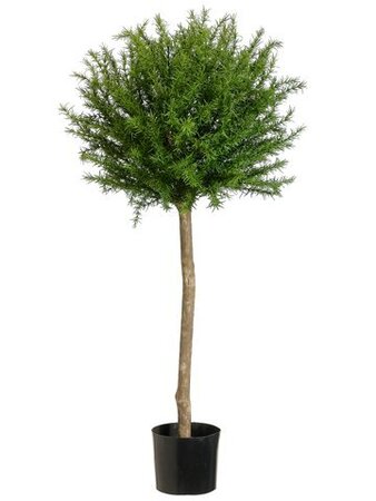 EF-454 45 inches  Rosemary Topiary in Plastic Pot Green (Price is for a 2PC Set)
