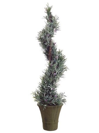 EF-540 38 inches Italian Rosemary Spiral Topiary in Paper Mache Pot Green