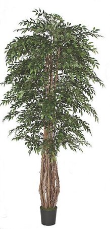 EF-275   7 feet Multi-Trunk Smilax Tree w/4277 Lvs. in Pot Green