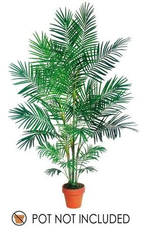 EF-071 7 feet Tropical Areca Palm x5 w/861 Lvs.