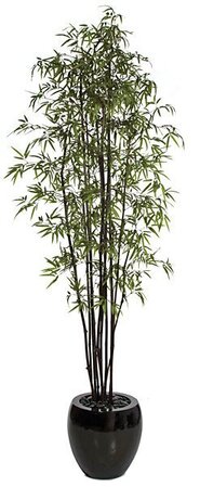 9 feet Black Bamboo Tree - 10 Natural Canes - Green Leaves - 44 inches Width
