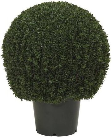EF-3337    30 inches Tall 22 inches Wide  Mini Tea Leaf  Boxwood Topiary has 2919 leaves and come...