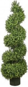 EF-42 4 feet Outdoor Spiral Boxwood Topiary ,  indoor/outdoor