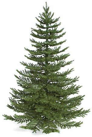 7.5 feet Ballard Spruce Christmas Tree  2,114 Green Tips - 66 inches Width - Metal Stand