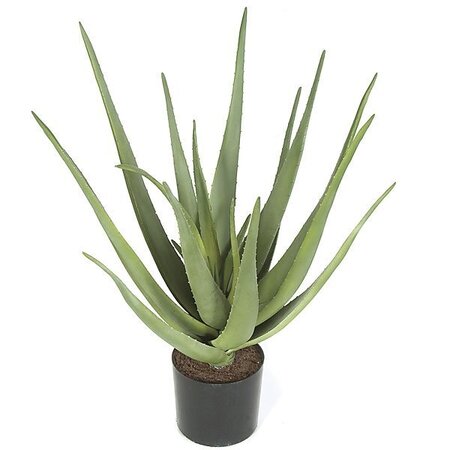 AR-102000 22 inches Plastic Aloe Plant - 20 Green Leaves - 19 inches Width - Weighted Base - FIRE RETARDANT