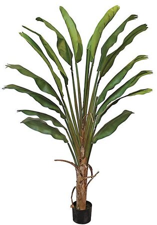 P-122008 8 feet Traveller Palm - Synthetic Trunk - 14 Fronds - Green - Bare Stem