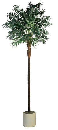 EF-1826  Bulb Artificial Areca Palm Tree Comes on a natural coco trunk