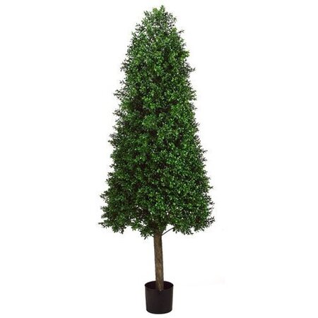 EF-265  	5.5 feet Outdoor Cone-Shaped Boxwood Topiary in Plastic Pot Two Tone Green Outdoor/Indoo...