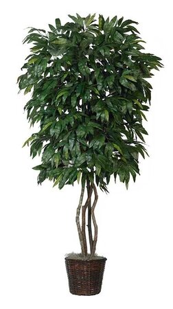 EF-4079  7 feet Mango Tree comes on 4 Natural Dragonwood Trunks