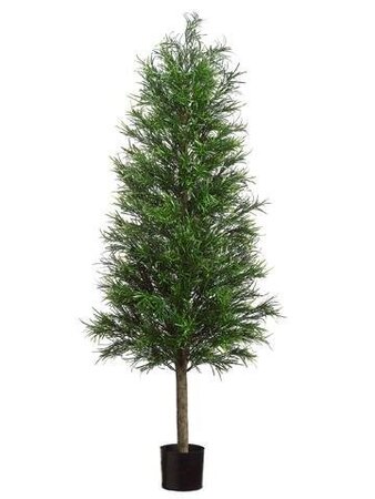 5 feet Plastic Podocarpus Tower Tree 